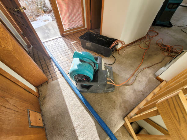 Best Water damage restoration mold remediation  in Harmony, RI
